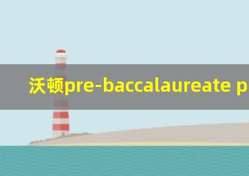 沃顿pre-baccalaureate program